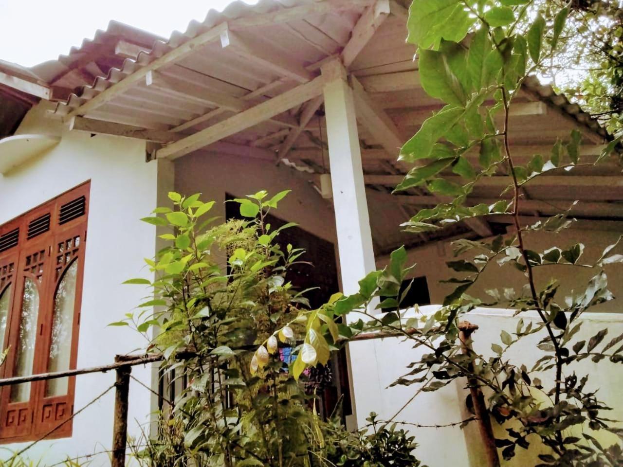 Ella Mount Villa ภายนอก รูปภาพ