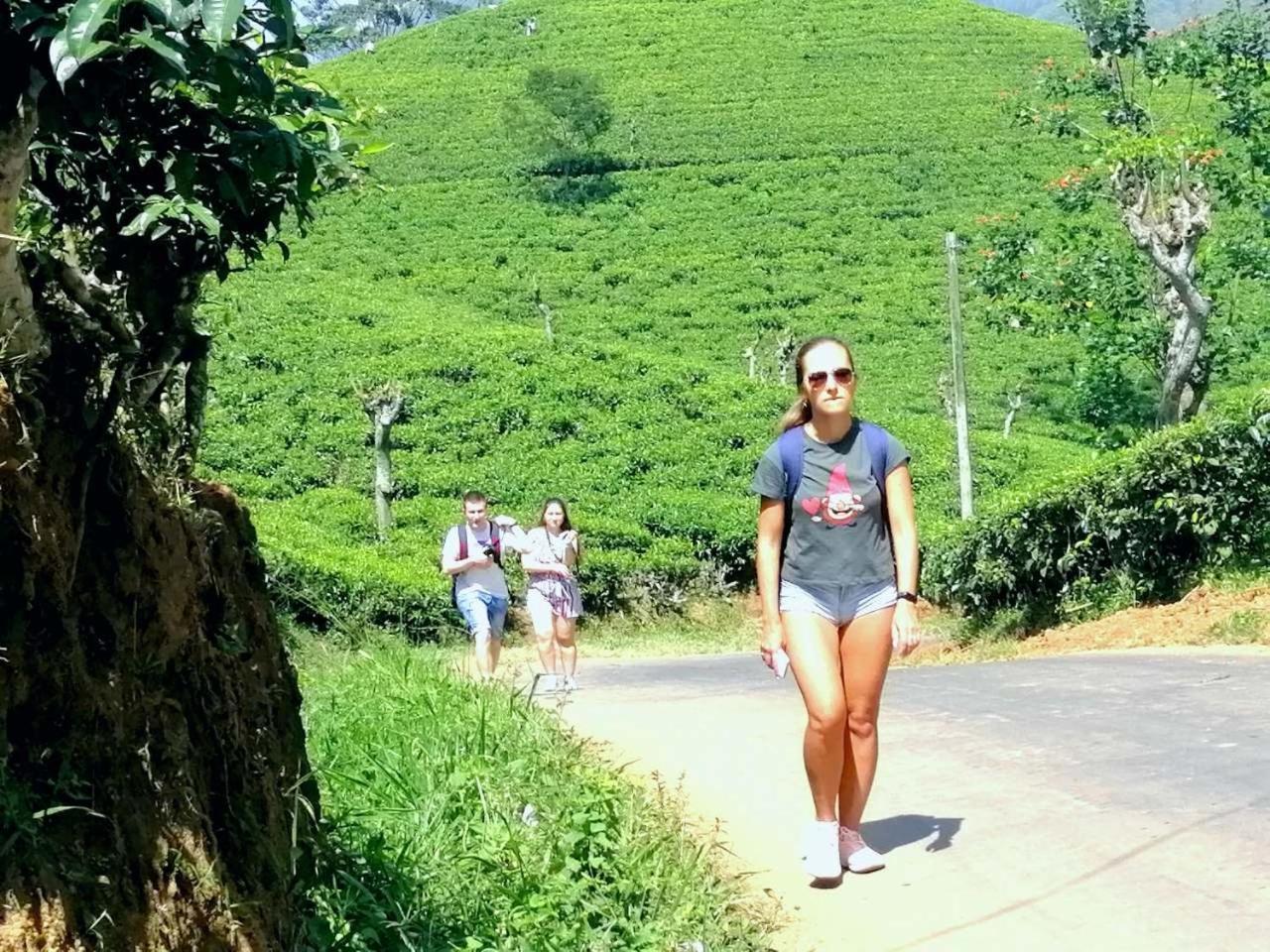 Ella Mount Villa ภายนอก รูปภาพ